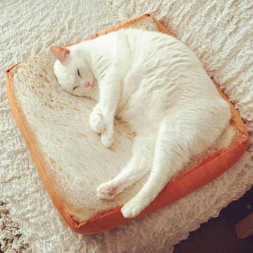 Limit 100 Toast Bread Cat Pillow Dog Pet Supplies Bed Mat Soft Cushion Plush Seat Gifts CB