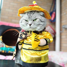 Load image into Gallery viewer, Funny Cat Clothes Pirate Suit Clothes For Cat Costume Clothing Corsair Halloween Clothes Dressing Up Cat Party Costume Suit