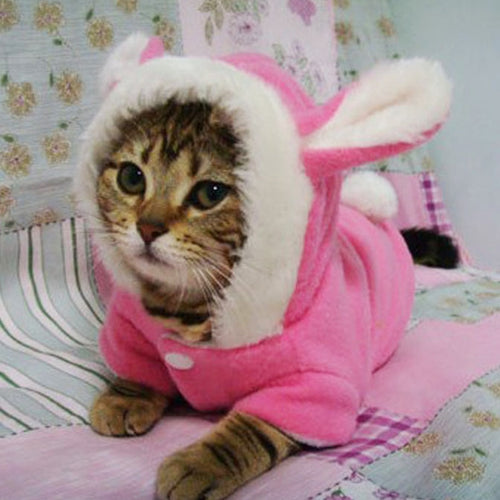 Cat Clothes Mascotas Costume Clothes For Pet Hoodies Cute Rabbit Cat Kitten Clothing Puppy Fleece Warm Pet Cat Jacket Outfit